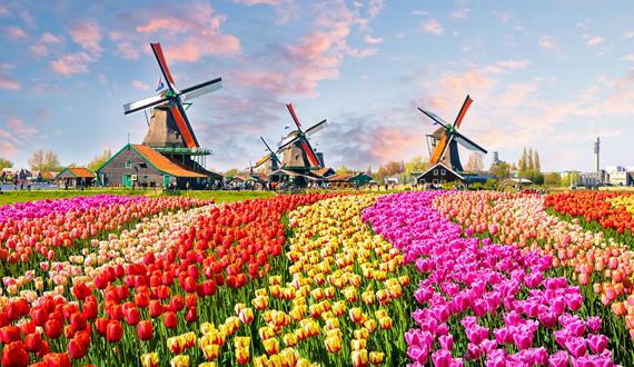 Gay Grand Tour in Netherlands • Amsterdam - Rotterdam - Utrecht - Groningen - Volendam